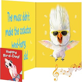 Funny Musical Parrot Birthday Card with Singing Sound & Head-Banging Motion, Pop-Up Surprise Birthday Card, Silly Happy Birthday Card for Friends, Him or Her, Unique Birthday Gift