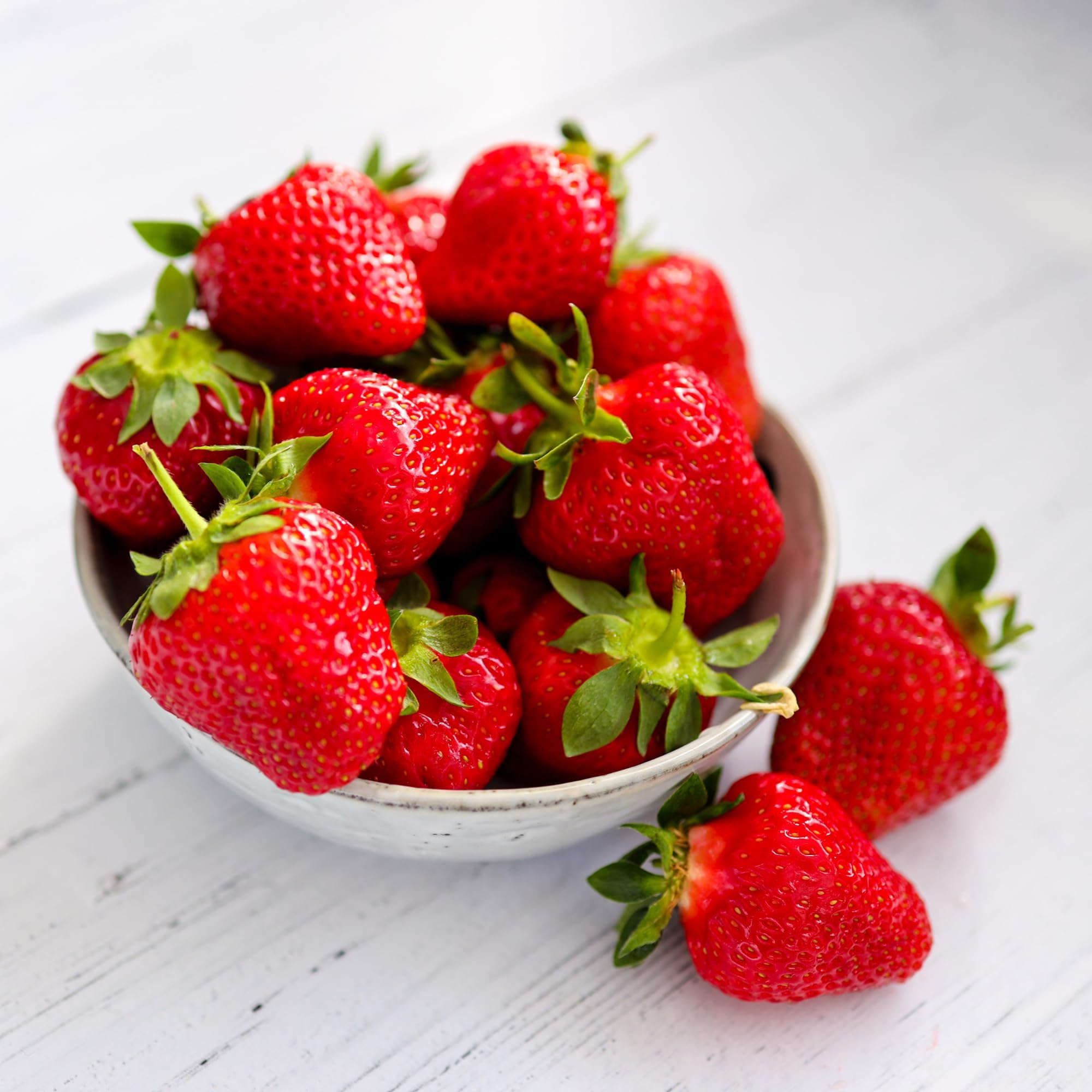 Eversweet Everbearer Strawberry Plants - Fruits Spring to Fall Even Over 90 Degrees! Bare Root Strawberry Plants from Hand Picked Nursery (5)