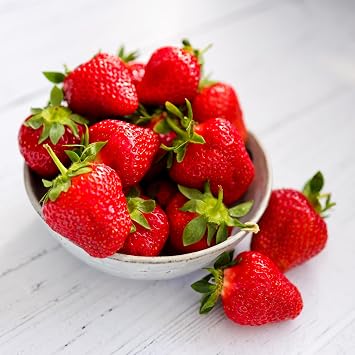 Eversweet Everbearer Strawberry Plants - Fruits Spring to Fall Even Over 90 Degrees! Bare Root Strawberry Plants from Hand Picked Nursery 15