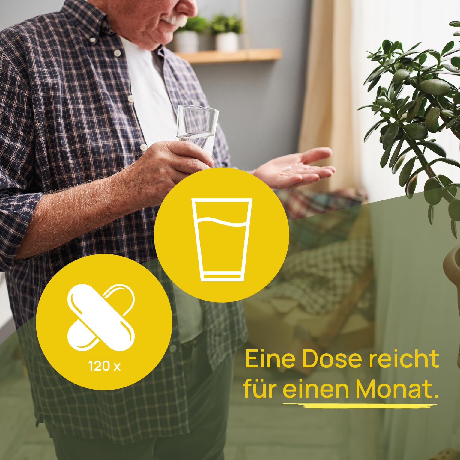 Wellpursan Sangioton Extra, 240 Stück, hochwertige L-Arginin Kapseln hochdosiert mit L-Citrullin, Olivenblatt, Coenzym Q10,Vitamin K2, 100% Vegan, frei von Zusätzen