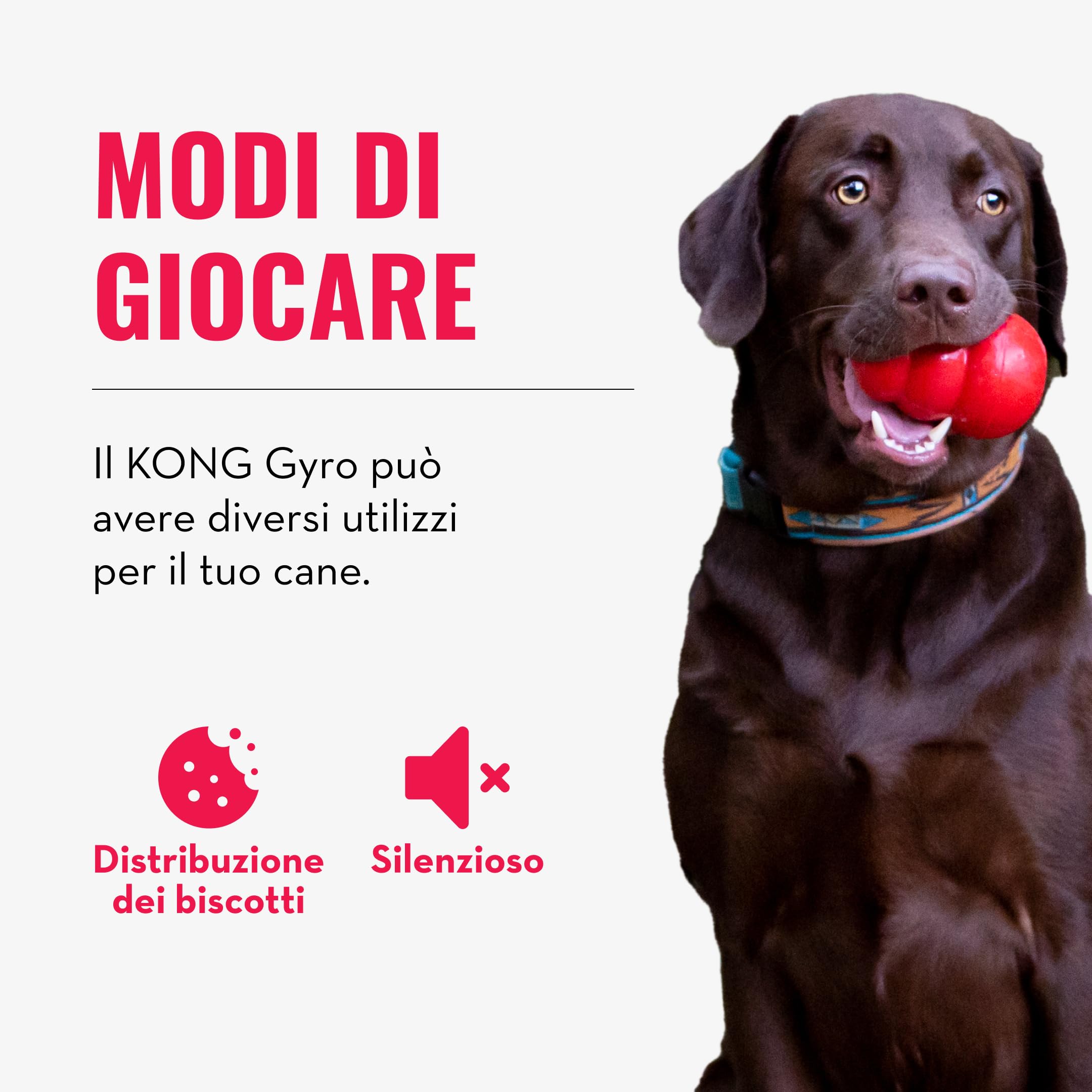 Kong - Gyro - Giocattolo interattivo per Cani di Taglia Grande