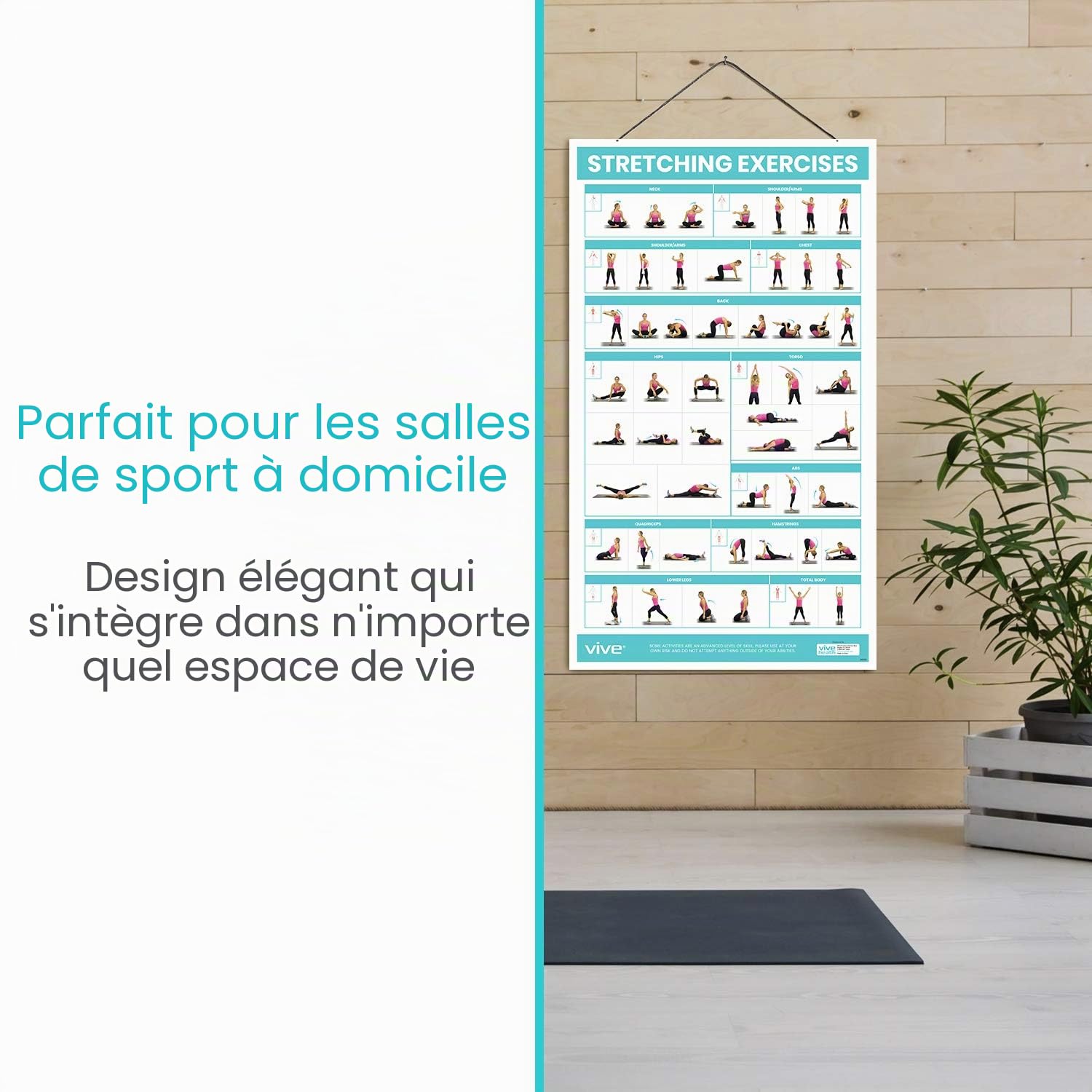 Vive Poster d'exercices d'étirement – Entraînement extensible pour la rééducation, la gym, la maison – Guide d'instructions de base pour le fitness et le poids du corps – 52 exercices pré-postérieurs