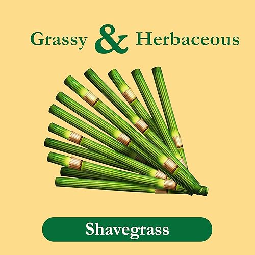 Miniatura 9 de Tadin Herb  Tea Co mezcla de té de Guanábana sin cafeína 24 bolsitas de té Paquete de 6