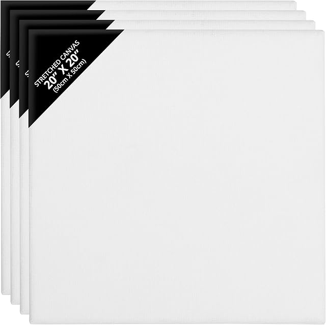 Belle Vous 4 Pack Blank Canvas- 50 x 50cm (20 x 20 inches) - Pre Stretched Canvas Panel Boards - Suitable for Acrylic and Oil Painting Also for Sketching and Drawing