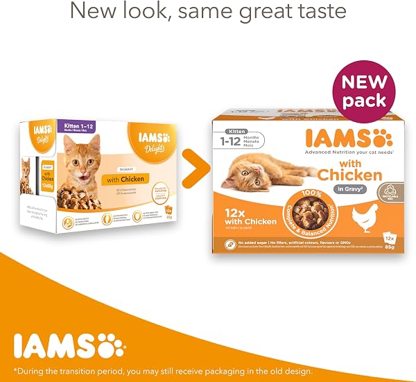 IAMS Kitten Wet Cat Food Chicken in Gravy 12 x 85g - 2