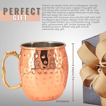 Advanced Mixology Bulk Purchase - Stainless Steel Moscow Mule Mug with Brass Handle - $5.75/mug