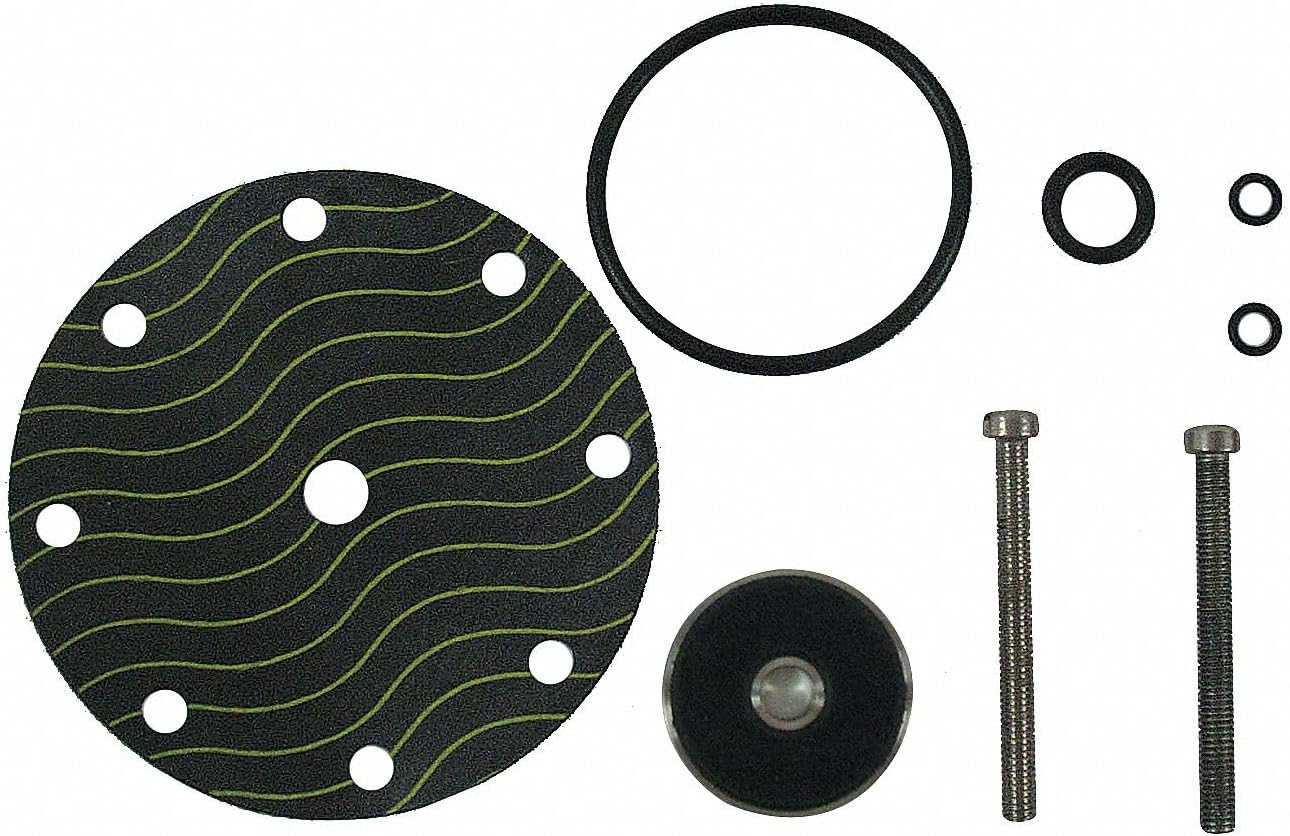 Pilot Rebuild Kit: CP16RK, 6AKX2