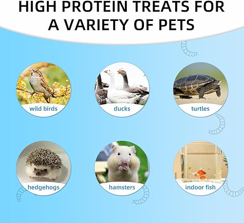 Miniatura 6 de I LOVE WORMS Larvas de mosca soldado negra secas (5 libras), 100% Natural sin OMG, Tratamiento para pollos, Alimento para pollos con más calcio que