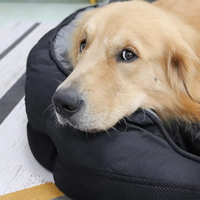 Foto 8 de 8 de Bingopaw Cama Cómoda para Perros Colchoneta Grande para Mascotas Cama Impermeable con Cojín Desmontable Suave…