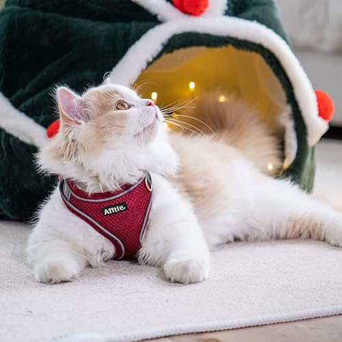 Miniatura 77 de AIITLE Arnés Escalonado para Perro y Juego de Correa - Chaleco Arnés a Prueba de Escape Sin Tirones con Malla Suave y Bandas Reflectantes, Arneses