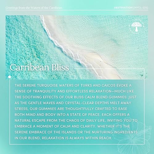 Vista 7 de MYCL Bliss - Gomitas de hongos 500 mg de Ashwagandha, Reishi, melena de león, bálsamo de limón y cuerpo fructífero entero de 5 HTP Alivio