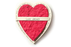 Bloomin Mini Cranberry Red Heart-Shaped Seed Paper Enclosure Cards 9 Card Set:...