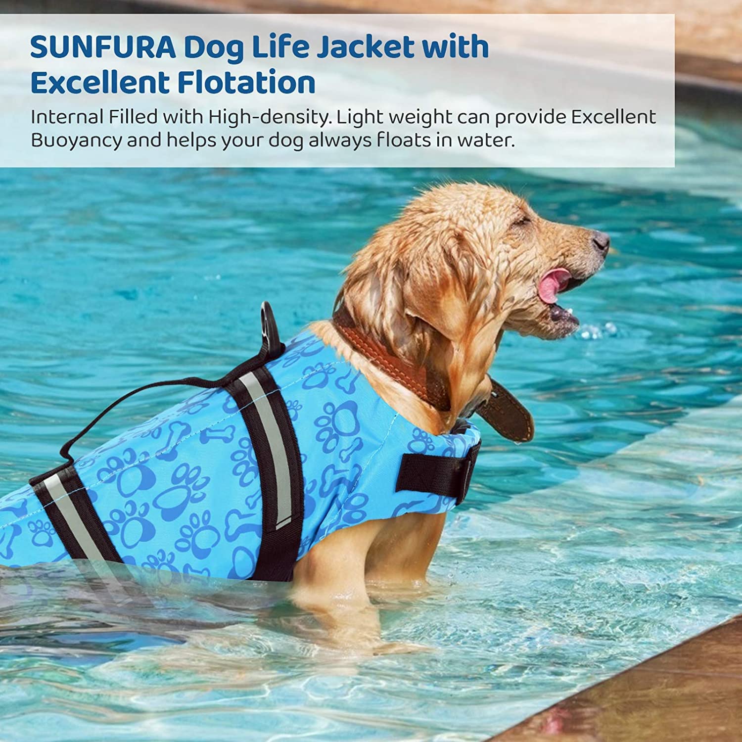 Gilet De Sauvetage Ripstop pour Chien, Gilet De Flottaison pour Chien pour La Natation, Gilet De Sauvetage pour Chien De Plage avec Flottabilité Élevée Et Poignée De Sauvetage,P,XXL