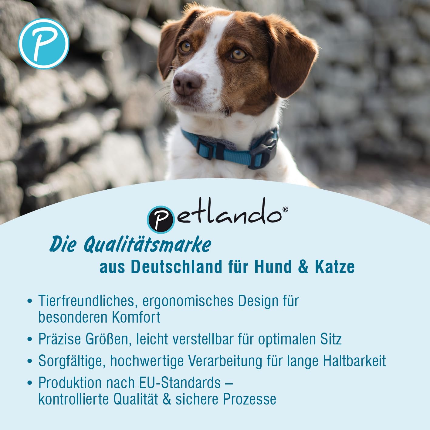 Petlando Hundehalsband mit innovativer Magnet-Schnalle, stufenlos verstellbar, weich gepolstert mit Mesh, atmungsaktiv, D-Ring, Magnetech Halsband für sehr kleine Hunde Mokka/Cognac, XXXS