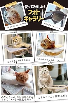 Amazon | POOKIE 猫 窓 ハンモック スケルトン 窓ベッド 猫