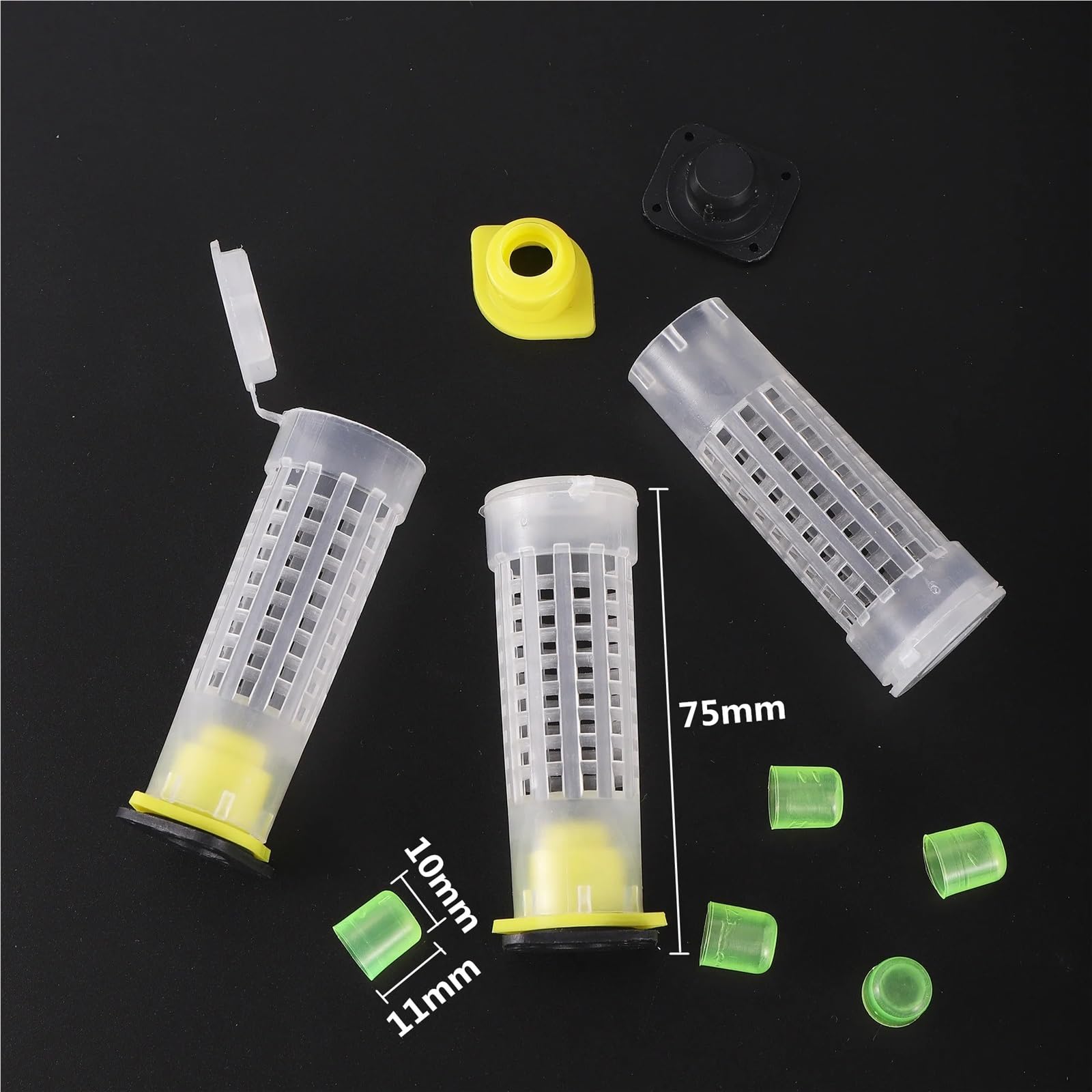 Lot de 5 cages cellulaires pour apiculture, transport de prisonniers