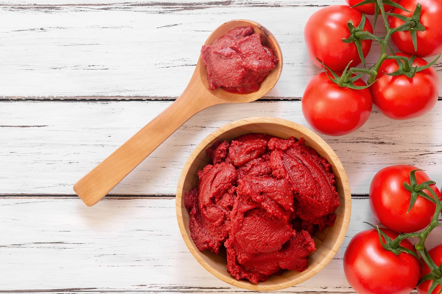 la BIO IDEA Tomatenmark, 24er-Pack (24 x 70g)