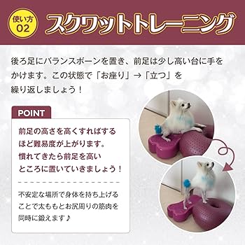 Amazon.co.jp: アプリア バランスボーン 犬用 バランスボール