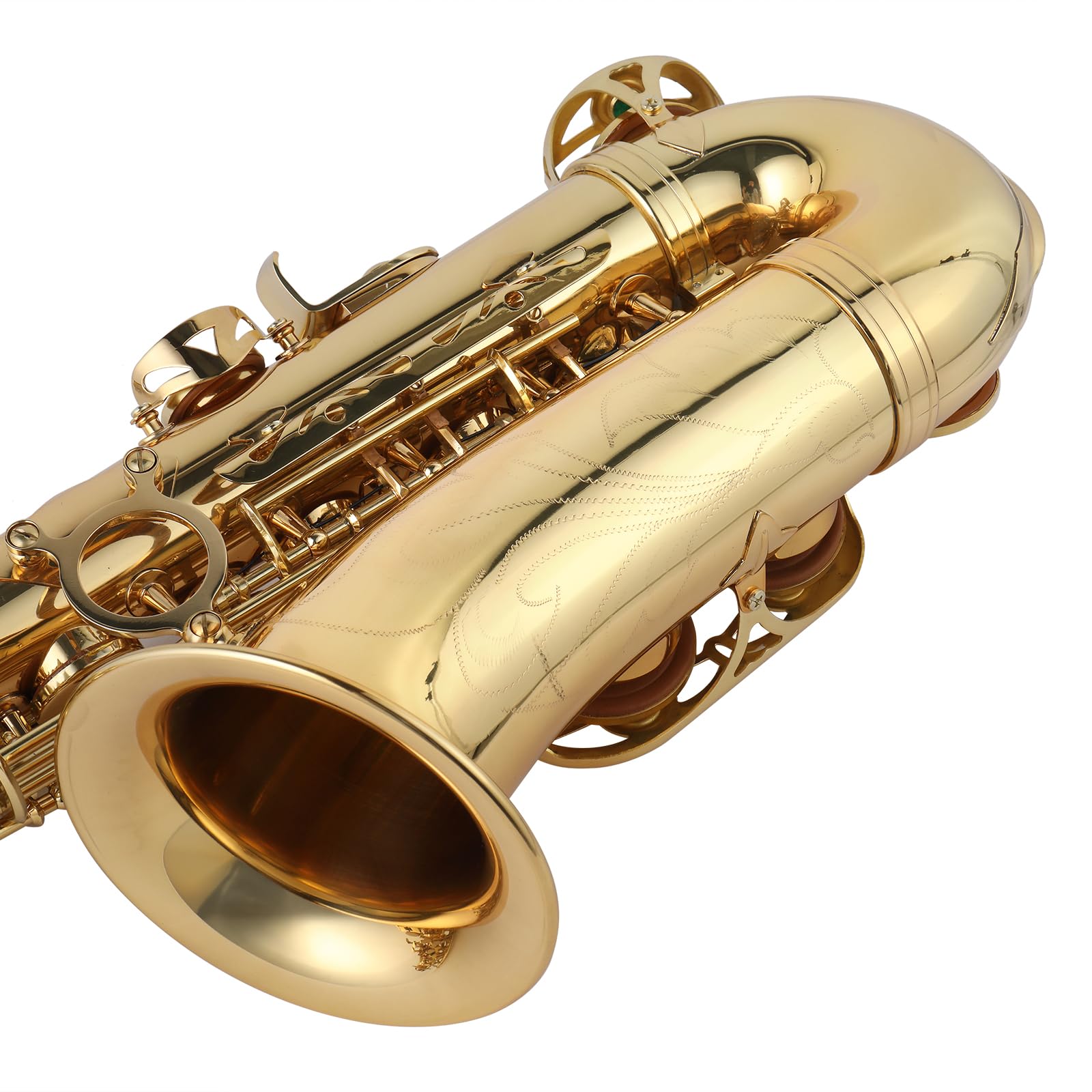 Amazon.com: Ktaxon Alto Saxophone Drop E Brass Sax Full Kit for
