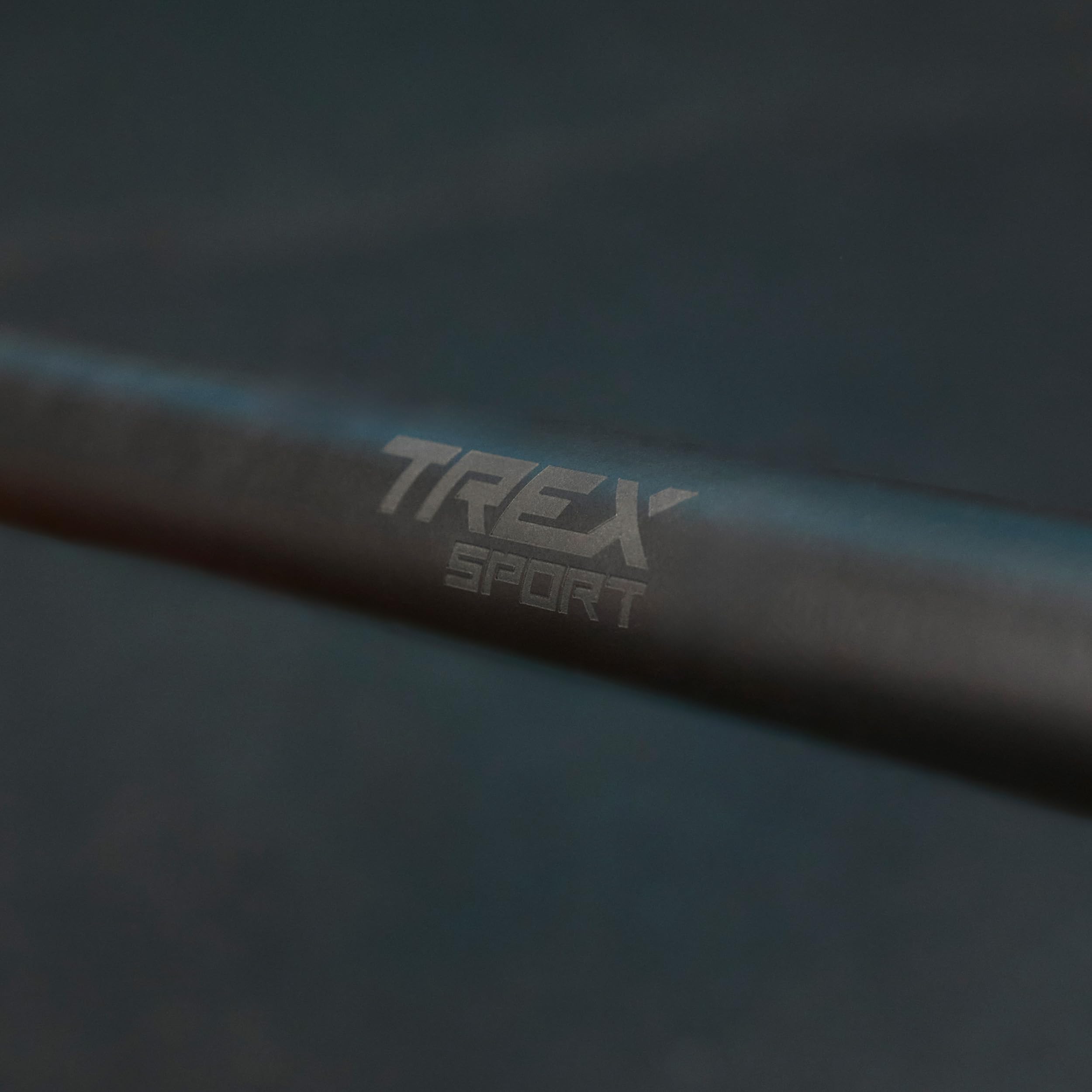 TREX SPORT Türrahmen Wasserwaage Klimmzugstange 72-110cm bis 200kg TX-020PB | Pull Up Bar & Trainingsstange Türrahmen ohne Bohren, Türreck verstellbar für Klimmzüge, stabil, Anti-Rutsch