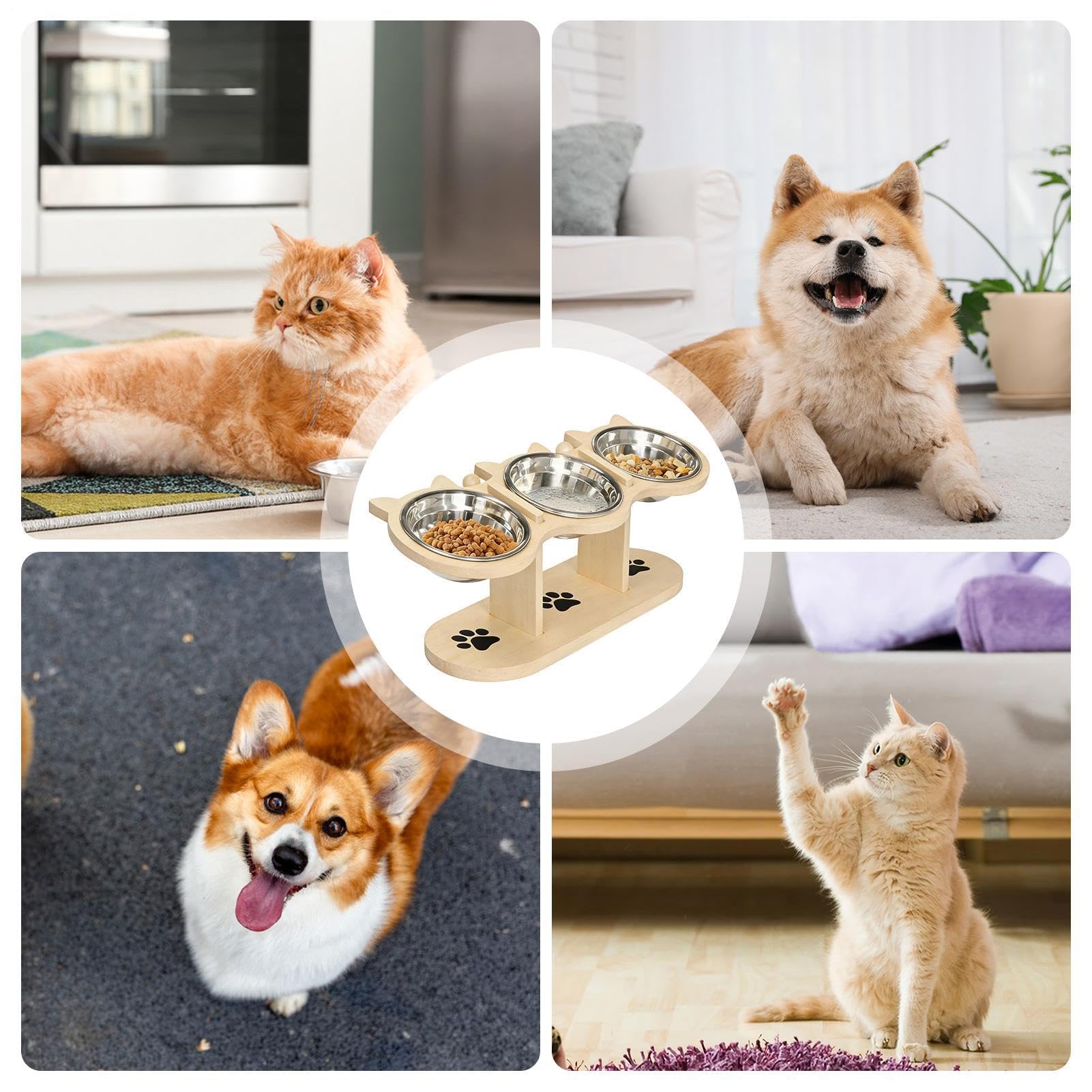Rialzata per Cani - Alimentatore Per Animali Regolabile In Altezza Inclinato Di 15° Con 3 Ciotole - Antiscivolo Gatti,per Interno Esterno Casa Cucina Soggiorno Campeggio Balcone Appartamento