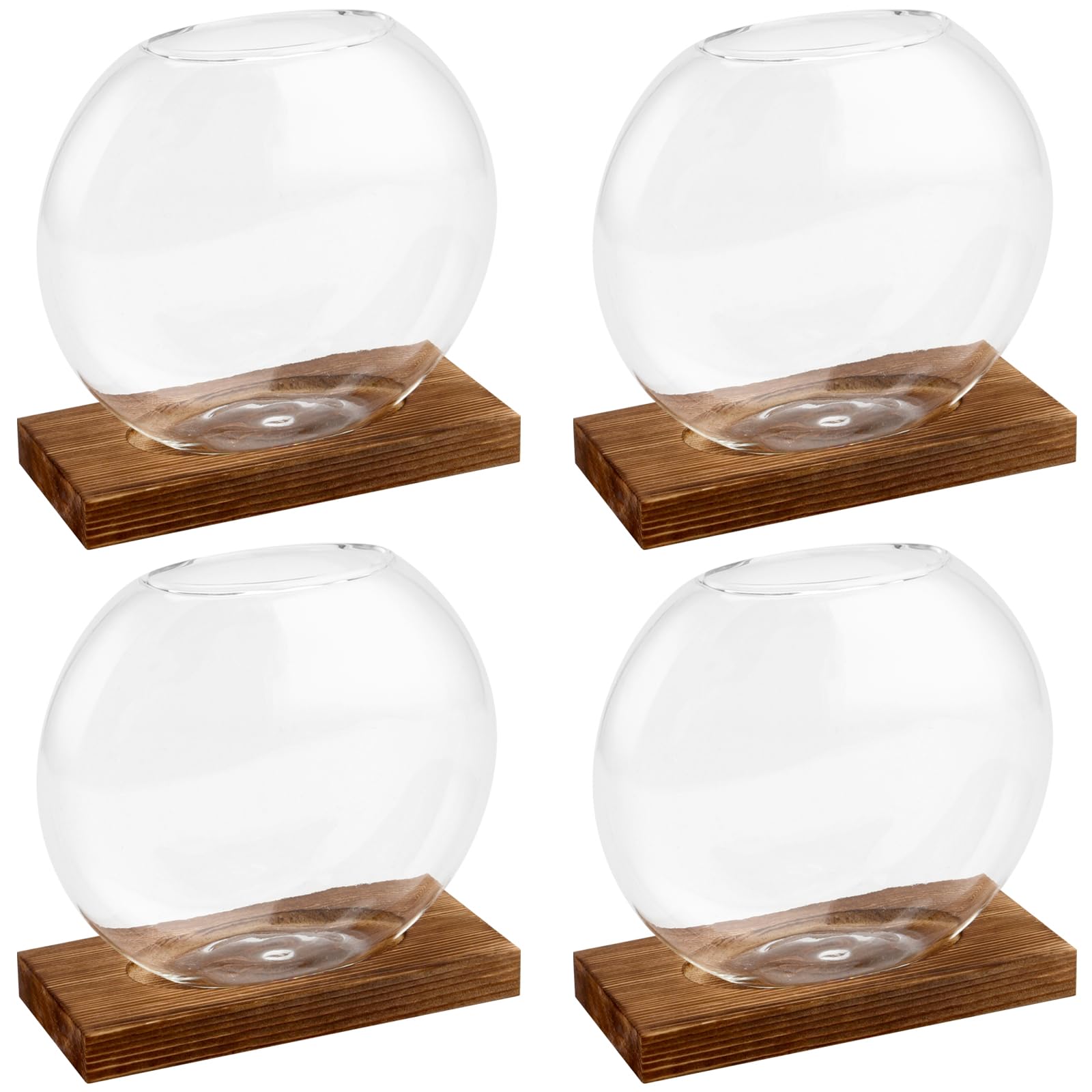 HAKZEON 4 Pack Desktop Round Glass Planter Hydroponics Vase, Glass Planter Terrarium Flower Vase with Wooden Stand, Propagated Plant Jars for Plants,