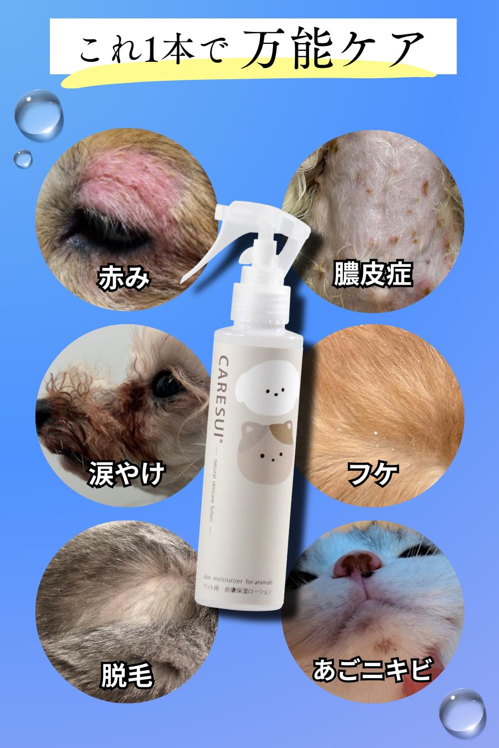 Amazon | 【温泉水から出来たワンちゃん・猫ちゃん用化粧水】 【石油