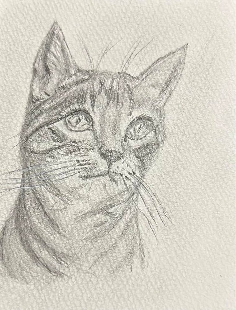 Tetsu　猫　鉛筆画　原画 Tetsu 猫 鉛筆画 原画 猫の絵 191 鉛筆画 原画 | Forest cat