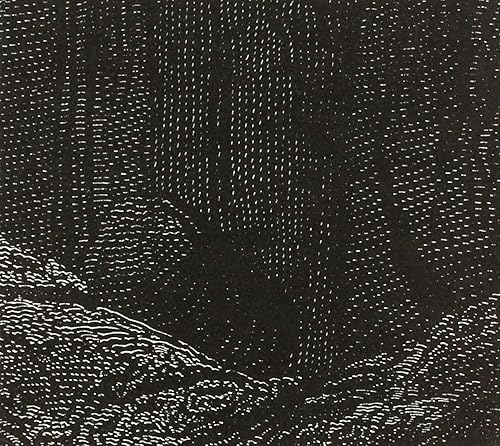 Miniatura 2 de Entity