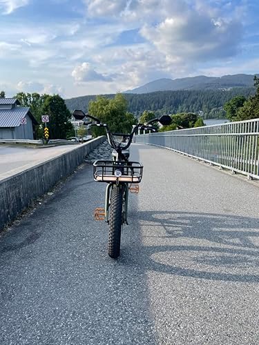 Miniatura 9 de Hafny Espejo de bicicleta eléctrica, superficie grande, vidrio HD, espejo de ciclismo seguro, (HF-M904-FR01B) (plateado derecho)