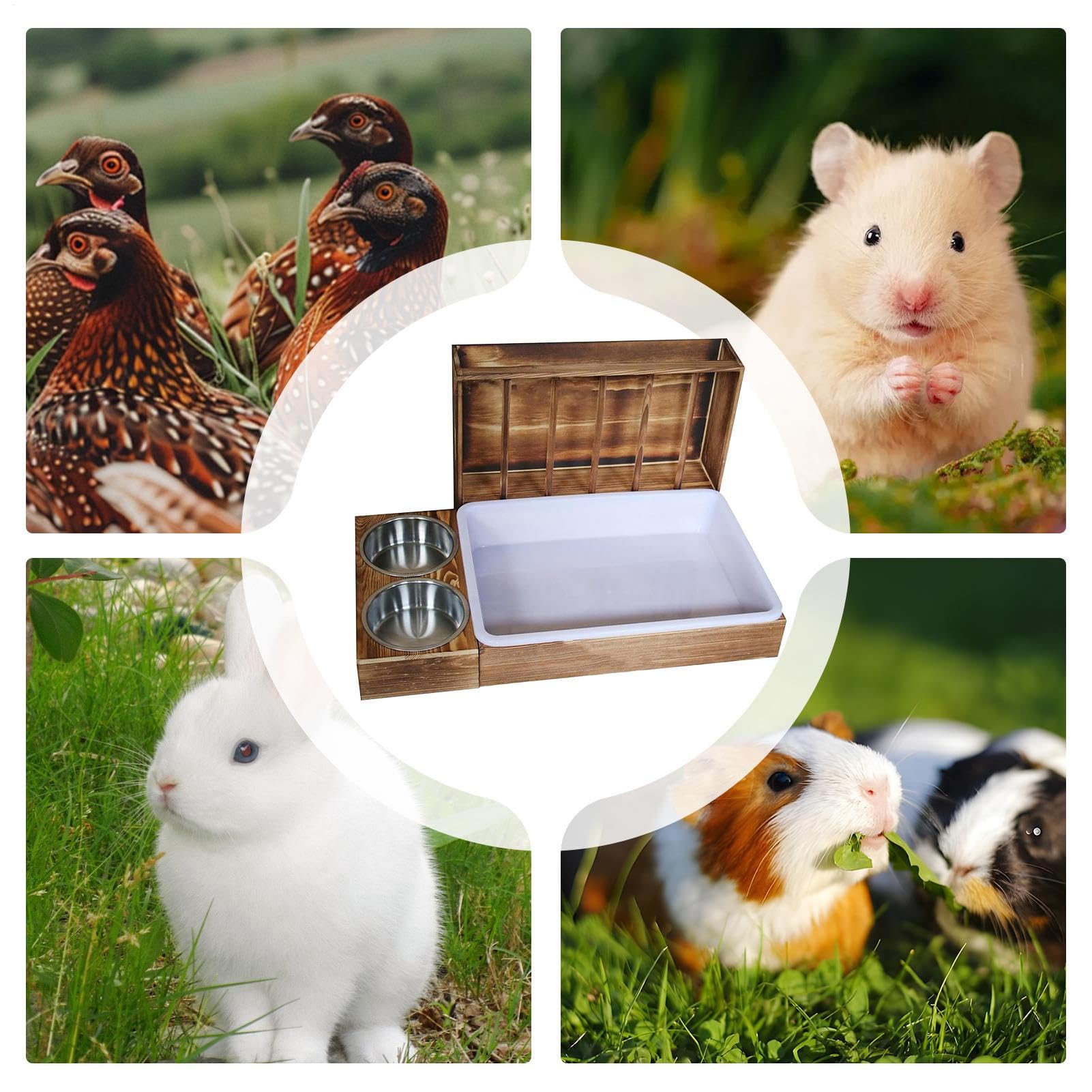 de Heno con De Y Boles | Portahenos Dispensador Antiderroche Multifuncion Para Jaulas De Roedores Y Mascotas Pequeñas