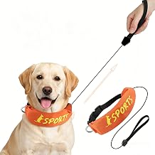 NAMSAN Dog Collar and Leash Set for Medium to Large Dogs, 31" Retractable Large Dog Leash with Adjustable Collar, D-Ring to Hang Pet Tags, All in One Auto-Retracting Leash Collar, L