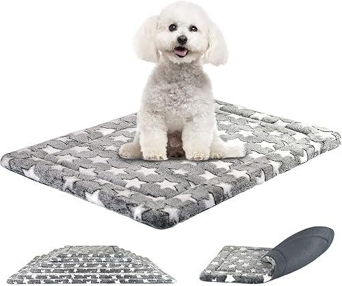 SuperKissen24Cama y Colchón Reversible para Perro, Gato - Cama Lavable Pequeña para Perro - 60x40 cm Estrellas