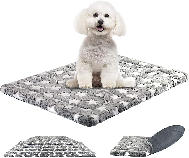 SuperKissen24Cama y Colchón Reversible para Perro, Gato - Cama Lavable Pequeña para Perro - 60x40 cm Estrellas