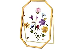Gold-Framed Dried Flower Frame: A Work of Art for Preserving Nature's Beauty