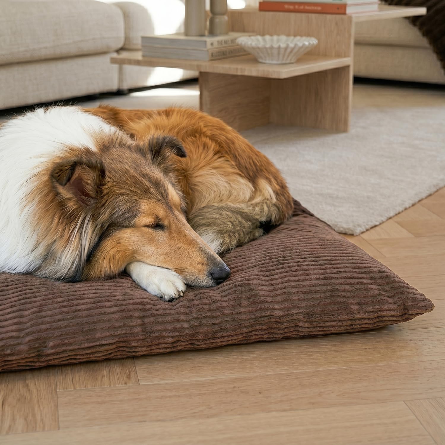 4L Textil Molly Hundebett Hundekissen aus Cord waschbar | Abnehmbarer Bezug