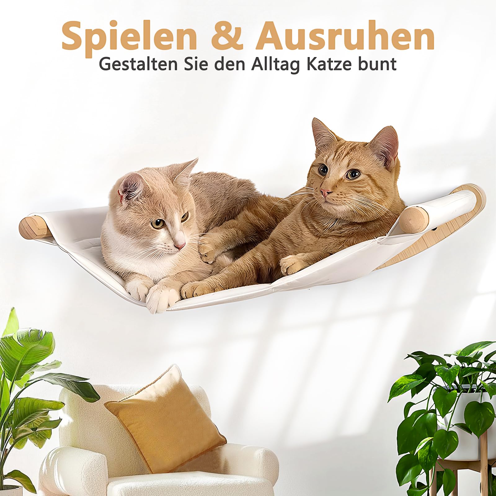 523959_6 523959_6