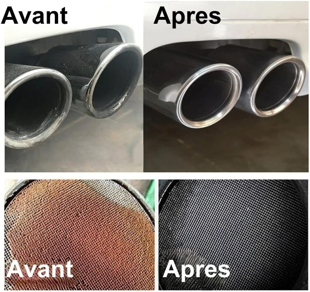 DPF Cleaner Spray, Nettoyant FAP Diesel, 400ml, Sans Démontage, Pack de 2, avec Gants Nitrile et Canule