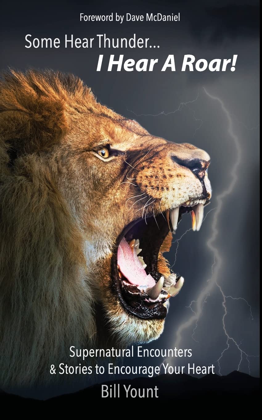 Some Hear Thunder... I Hear a Roar!: Supernatural Encounters & Stories to Encourage Your Heart