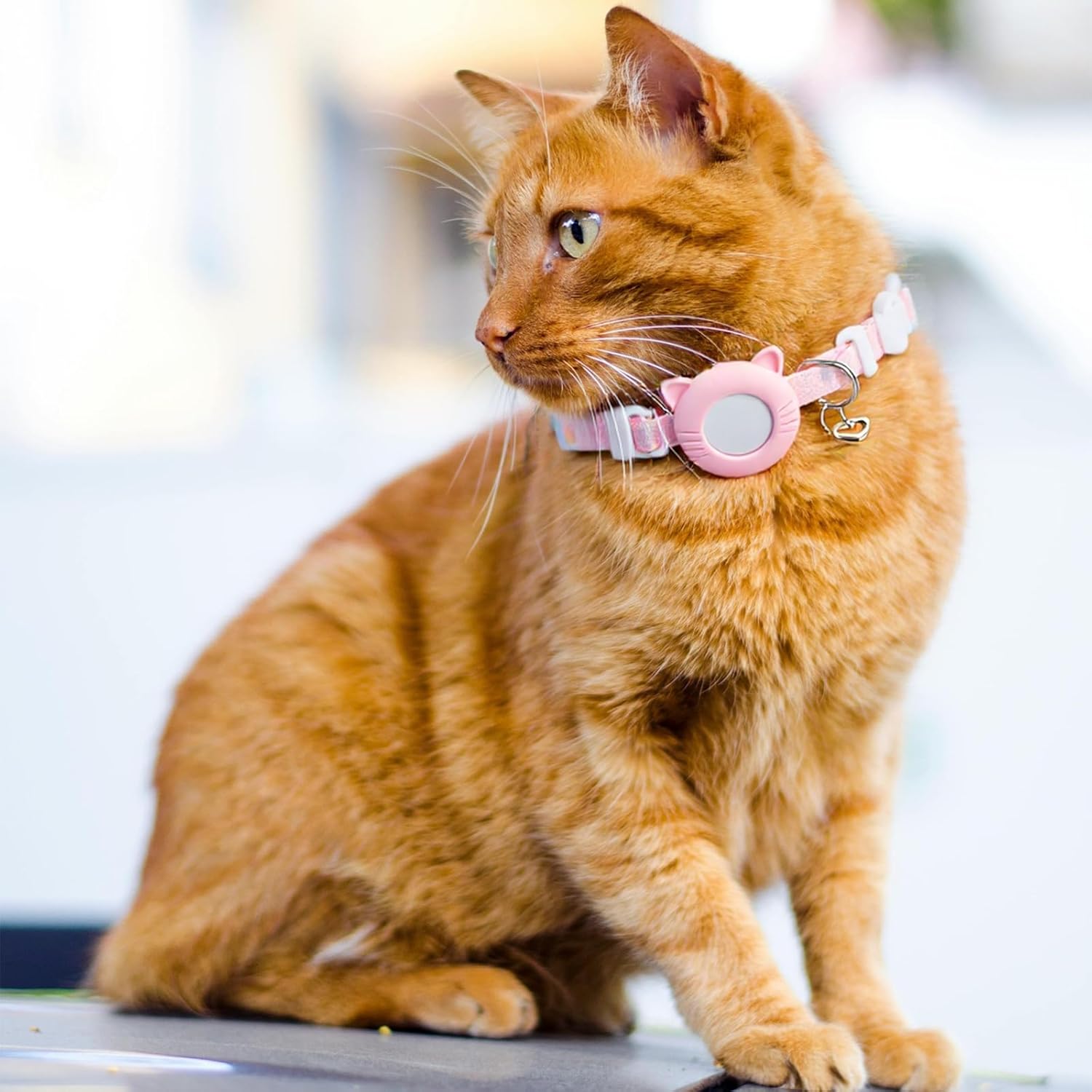 Cat Tracker Collar Breakaway Waterproof with Airtag Holder, Pet Cat Tracking Collar (Pink)