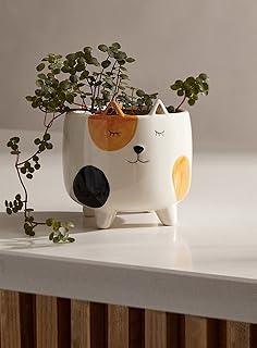 Cat Planter Pot | Indoor Planter for Plants | Cat Lover and Gardening Gi...