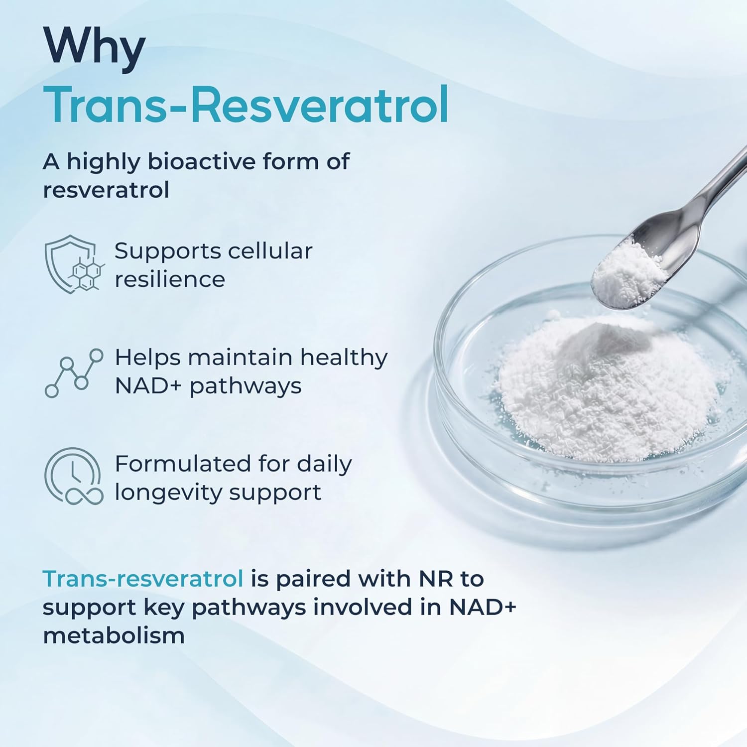 NAD+ Trans-Resveratrol Supplement - 500mg Nicotinamide Riboside (NR) + Quercetin & Fenugreek, Advanced 4in1 Longevity Formula | 30 Servings | Cellular Energy & Anti Aging Support