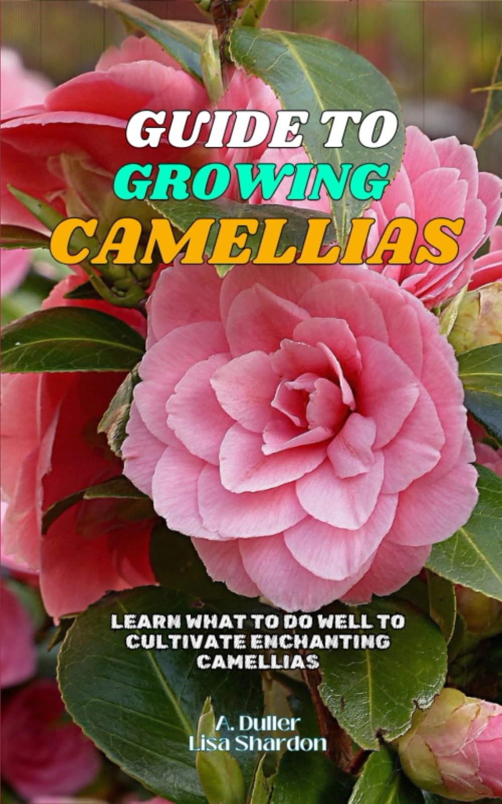 Guide to Growing Camellias: Learn what to do well to cultivate enchanting Camellias