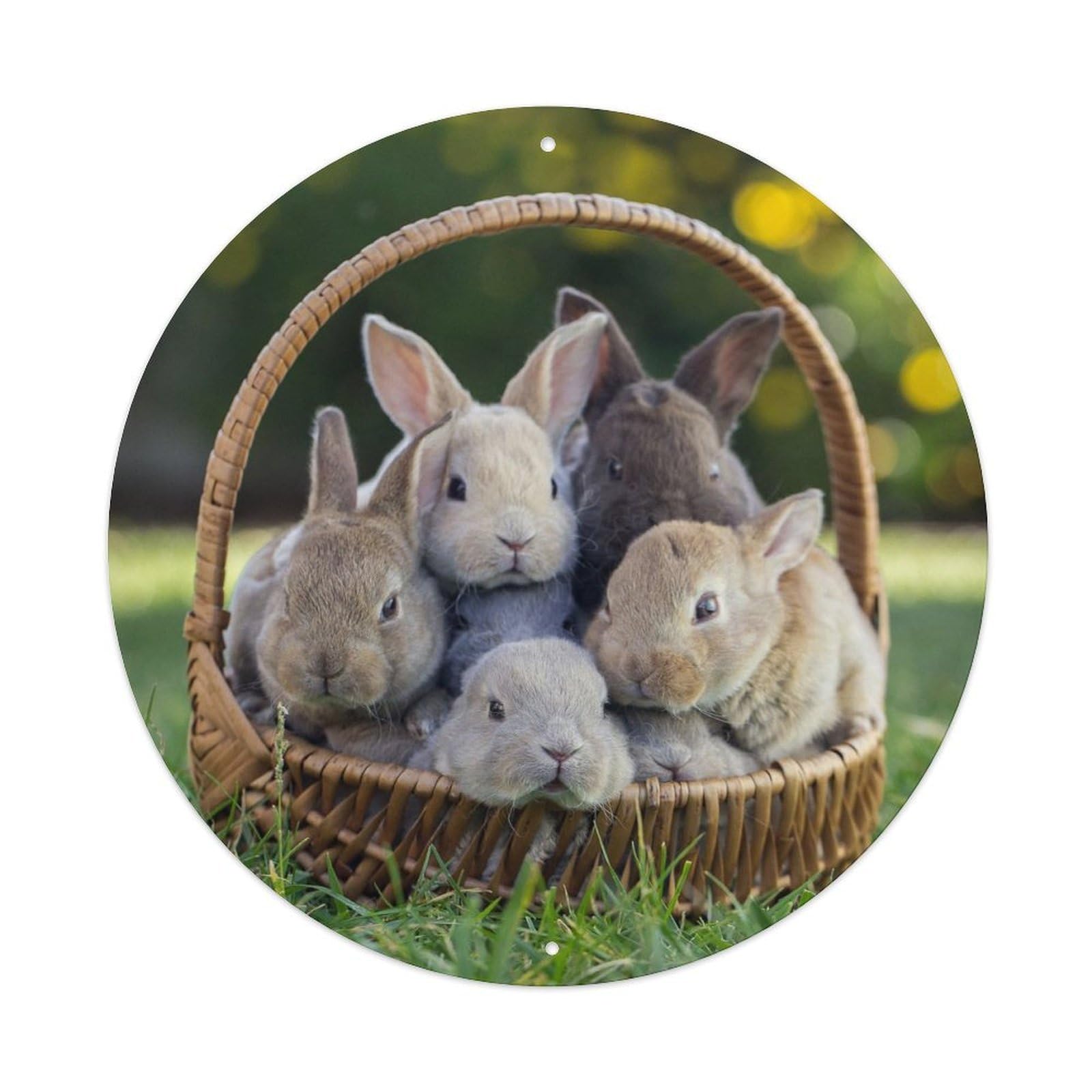 Animal Bunny in The Basket Vintage Metal Tin Sign Plaque Wall Decor for Cafe, Club Bar, Office, Garden Metal Poster 8x8Inch