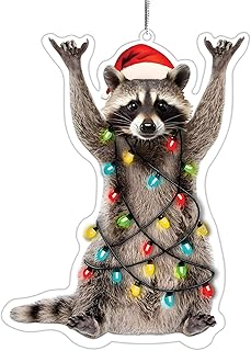 Acrylic Horse Suncatcher with Story Card, Horse Ornaments for Christmas Tree, for Horses Lovers, Gifts for Horses Lovers Women, Animal Ornament for Christmas Tree (Raccoon)
