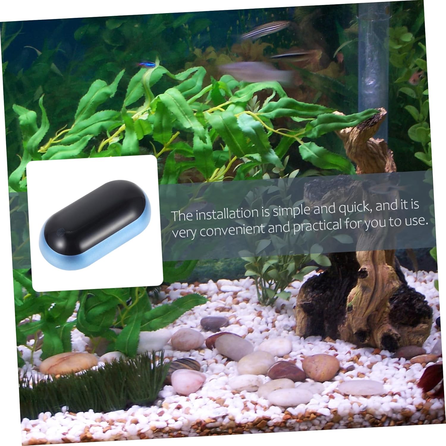 3pcs Digital Fish Tank Thermometer High Definition LED Display Accurate Measurement for Aquariums Durable Energy Efficient Gauge for Fish Tank Monitoring