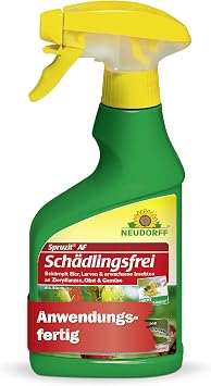 Neudorff Spruzit AF Pest-Free: Controls Pests Such as Boxwood Moths Aphids Thrips on Ornamental Plants Vegetables Fruits and Herbs (250 ml)