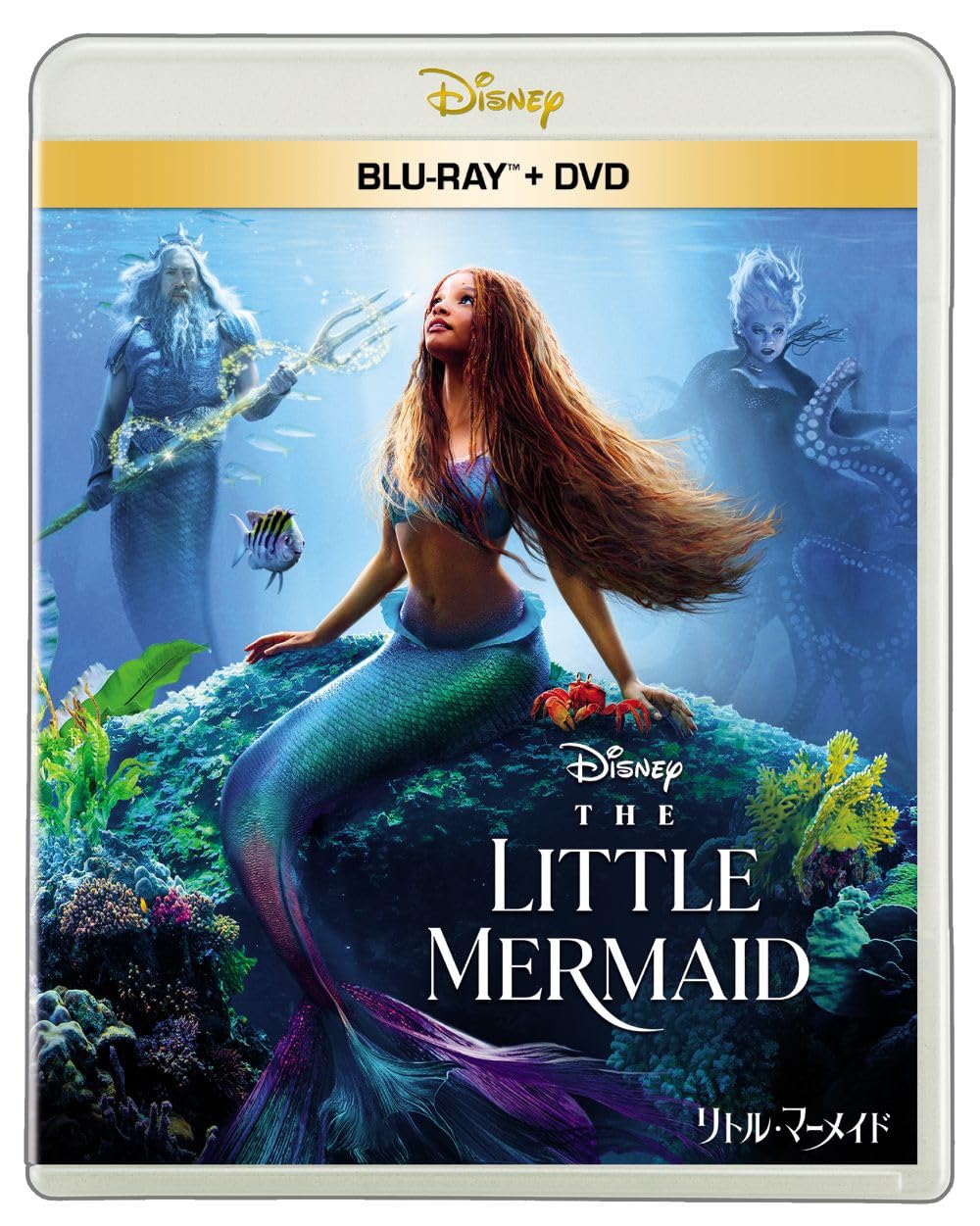アラジン　リトルマーメイド dvd Blu-ray Amazon.co.jp: リトル・マーメイド ブルーレイ ＋ DVD セット [Blu