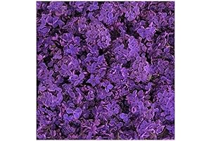 Deep Purple Preserved Freeze Dried Lilac Petals -15 cups