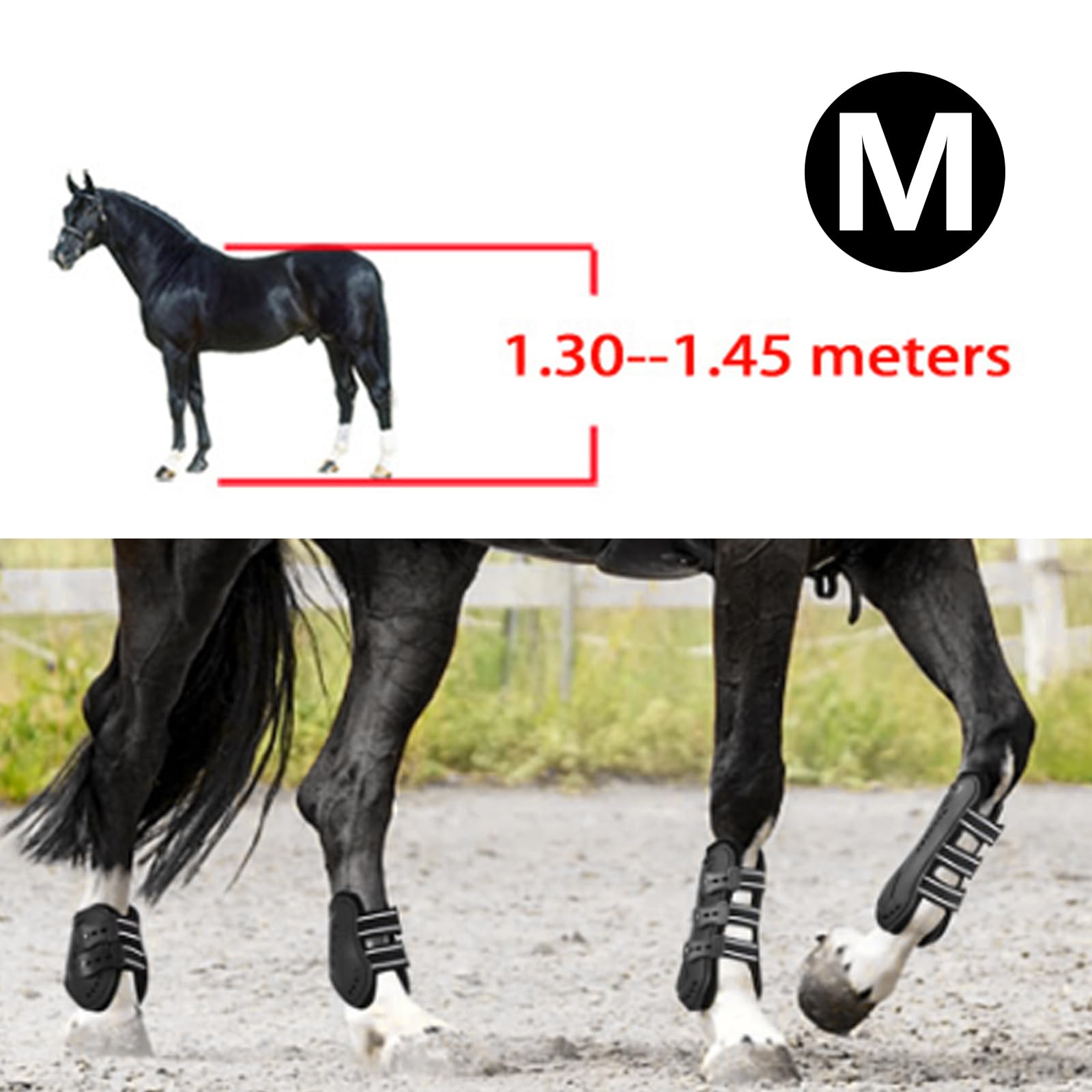 Botas de Caballo, 4 Piezas Protectores de Piernas Delanteras para Caballos, Guardabarros para Entrepierna, Protectores de Piernas Ajustables, Envolturas Protectoras para Patas de Caballo, M
